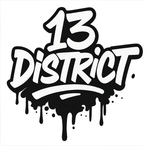13District